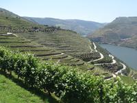 was für eine Aussicht von der Quinta do Seixa