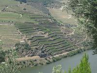 was für eine Aussicht von der Quinta do Seixa