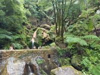 Portugal, Azoren, Caldeira Velha