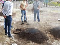 Portugal, Azoren, Furnas, Kochstellen beim Furnassee