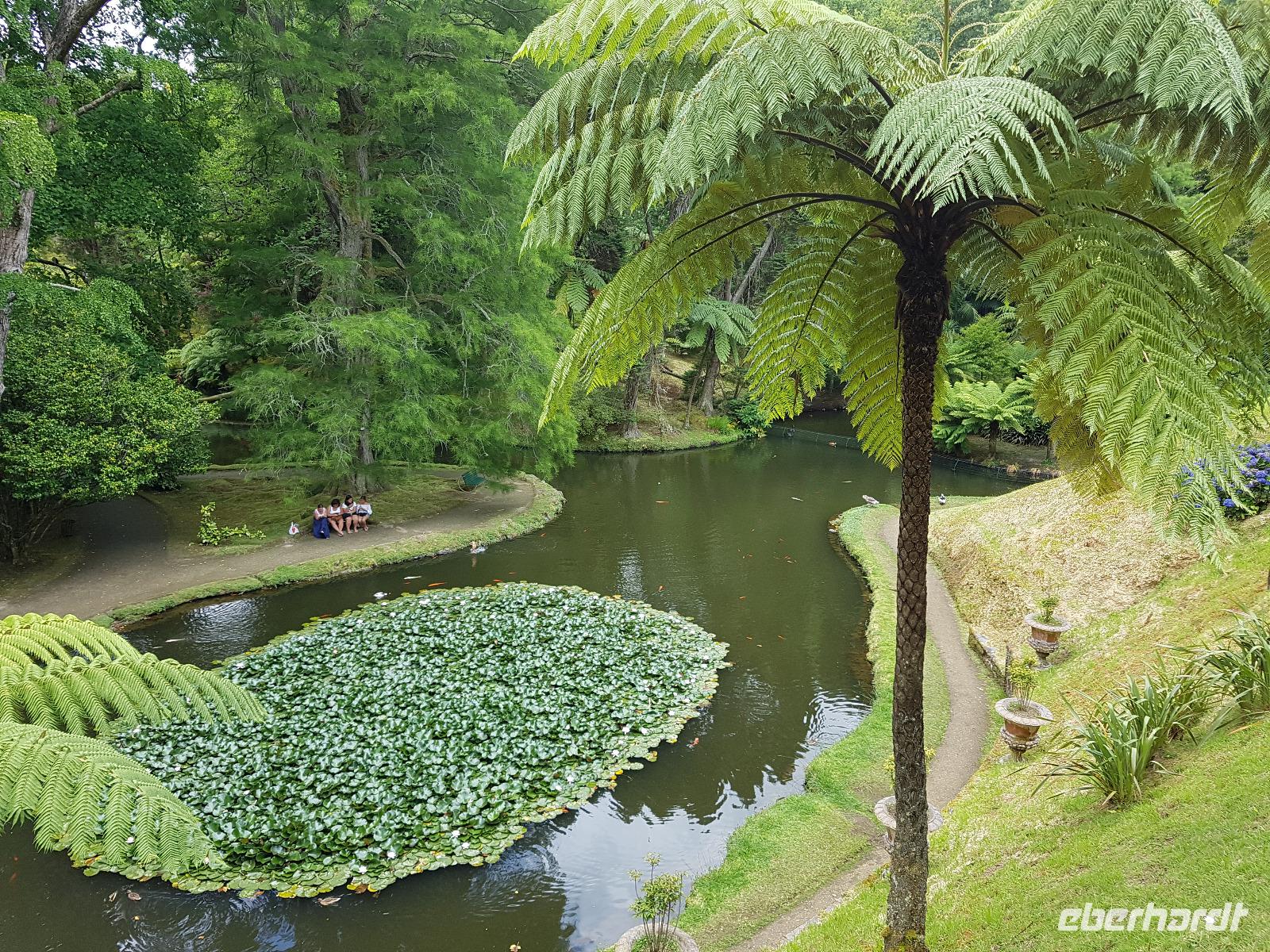 Portugal, Azoren, Furnas, Park Terra Nostra