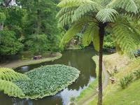 Portugal, Azoren, Furnas, Park Terra Nostra
