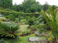 Portugal, Azoren, Furnas, Park Terra Nostra