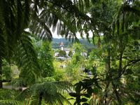 Portugal, Azoren, Furnas, Park Terra Nostra