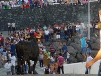 Portugal, Azoren, Terceira, Porto Judeum, Tourada a corda 