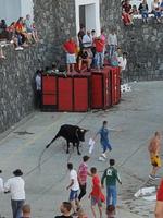 Portugal, Azoren, Terceira, Porto Judeum, Tourada a corda 