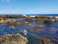 Portugal, Azoren, Terceira, Biscoitos