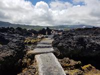 Portugal, Azoren, Terceira, Biscoitos