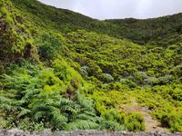 Portugal, Azoren, Terceira, Algar do Carvao