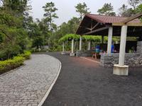 Portugal, Azoren, Faial, Capelinhos, Picknickplatz