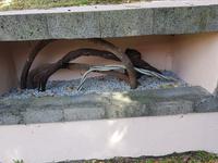 Portugal, Azoren, Faial, Horta, alte Atlantikkabel