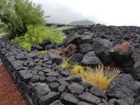 Portugal, Azoren, Pico