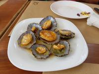 Portugal, Azoren, Pico, Napfschnecken