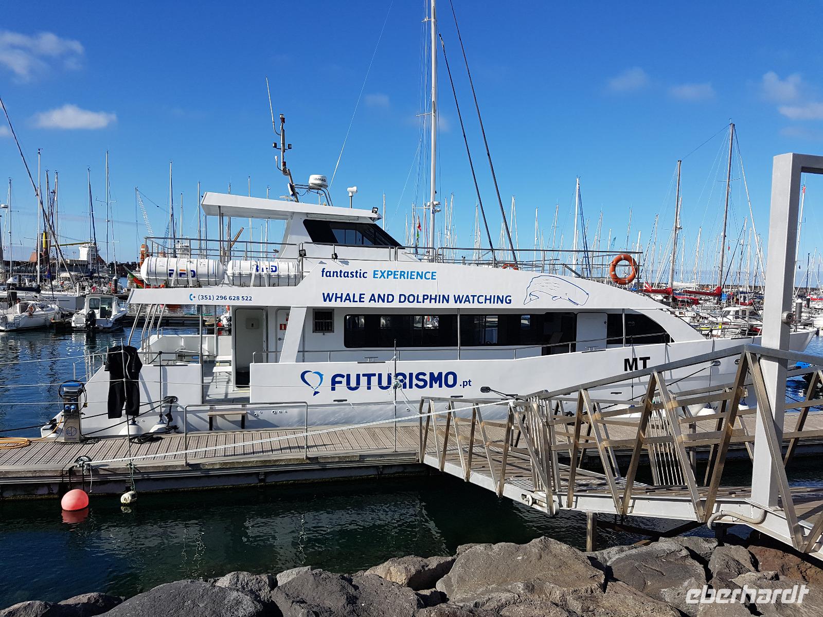 Portugal, Azoren, Ponta Delgada, Walbeobachtungsboot