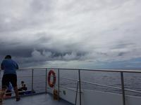 Portugal, Azoren, Ponta Delgada, Walbeobachtungsboot