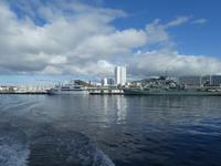 Portugal, Azoren, Ponta Delgada, HAFEN