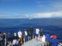 Portugal, Azoren, Ponta Delgada, Walbeobachtungsboot