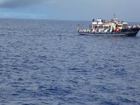 Portugal, Azoren, Ponta Delgada, Walbeobachtungsboot