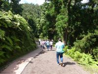 Portugal, Azoren, Caldera Velha