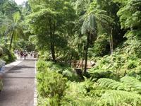 Portugal, Azoren, Caldera Velha