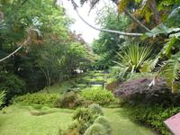 Portugal, Azoren, Furnas, Park Terra Nostra