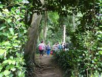 Portugal, Azoren, Furnas, Park Terra Nostra
