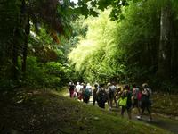 Portugal, Azoren, Furnas, Park Terra Nostra