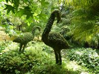 Portugal, Azoren, Furnas, Park Terra Nostra