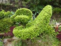 Portugal, Azoren, Terceira, Angra, Stadtpark