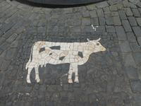 Portugal, Azoren, Terceira, Angra