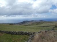 Portugal, Azoren, Terceira, Viehweiden