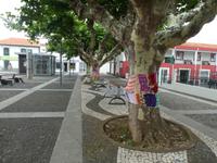 Portugal, Azoren, Terceira, Praia da Vitoria