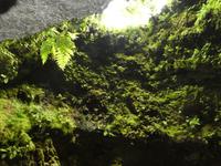 Portugal, Azoren, Terceira, Algar do Carvao