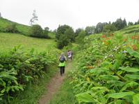 Wanderung bei Furnas