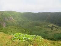 Kraterwanderung „Caldeira do Faial“