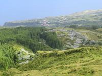 Hortensien außer Rand und Band