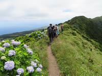Kraterwanderung „Caldeira do Faial“