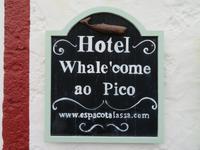 Whale'come auf Pico!