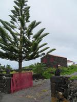 typische Pico-Bauweise