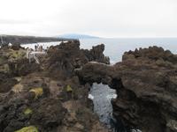 bizarre Lavaküste auf Pico