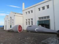 Walmuseum auf Flores (skurril)