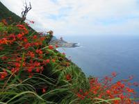 Wanderung auf Flores