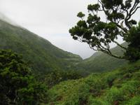 Wanderung auf Sao Jorge