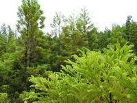 Wanderung Misterios Negros 