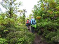 Wanderung Misterios Negros 