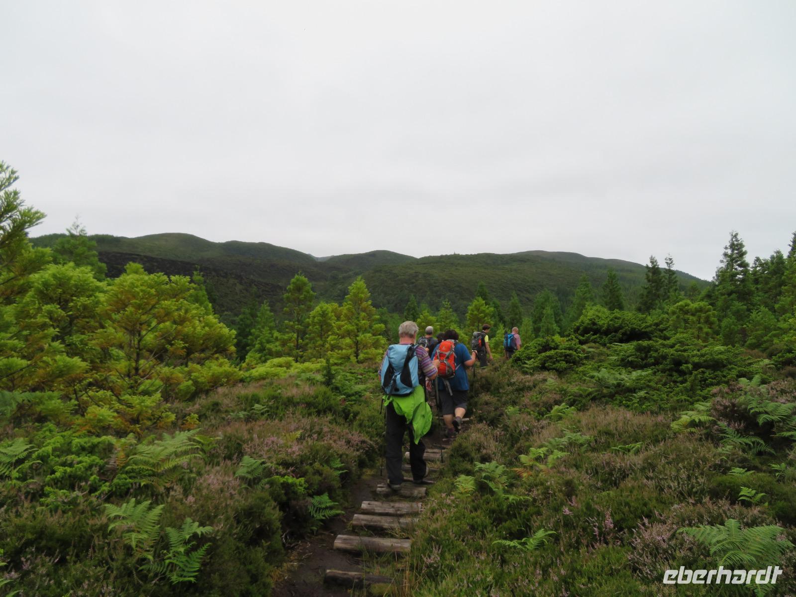 Wanderung Misterios Negros 