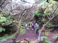 Wanderung Misterios Negros 