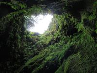 Höhle Algar do Carvao