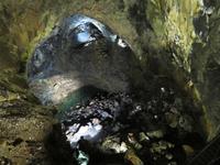 Höhle Algar do Carvao