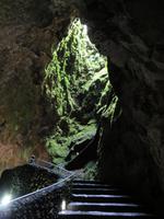 Höhle Algar do Carvao